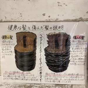 髪の毛の主成分は８０％たんぱく質