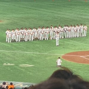 野球観戦行って来ました♪